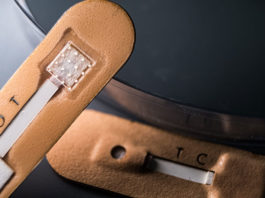 Microneedle-Based Diagnostic Makes Malaria Test as Simple as Putting On a Bandage Microneedle bandage malaria test