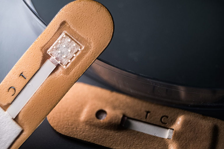 Microneedle bandage malaria test