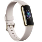 New Zealand Border Officials Begin Trialing of App to Detect COVID-19 Early New Zealand border elarm app