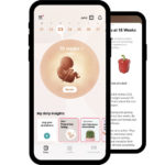 Fertility Tracking App Flo Raises $50M Series B Round, Bringing Company Valuation to $800M Flo Raises 50 Million in Series B