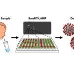 Researchers Explore How Smartphones Can Be Used For Faster, Cheaper COVID19 Test Smartphone App Detects COVID19