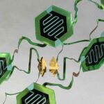 UC Berkeley Engineers Develop New Technique for Making Wearable Sensors UC Berkeley Engineers Wearable Sensors