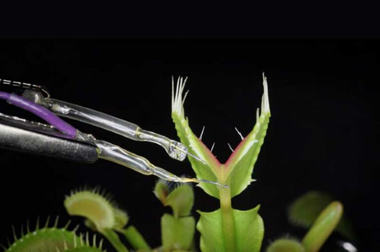 Swedish Researchers Develop Artificial Neurons